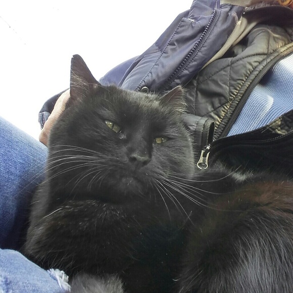 Meet your Posher, Anna - Picture 4 of 8